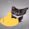 catmiddlefinger emote