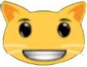 winning_smile_cat emote