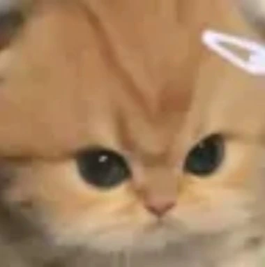 catangy emote