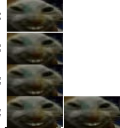 xddL emote