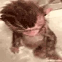 MonkeyBath emote