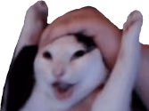 WAHOO emote