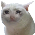 Sad_Cat emote