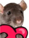 CE_RatHeart emoji