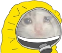 CE_HazmatSuitSadCat emote