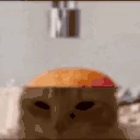 lobotomy emote