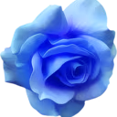 blue_flower emote