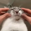 CE_Cope2 emote