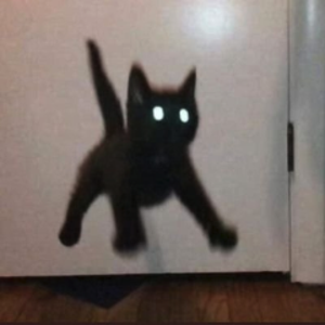 agent9321 avatar