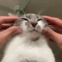 CE_Cope2 emote