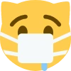 DoctorCat emote
