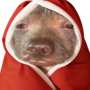 creatureCozy emote