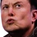 elonwhatthe emote