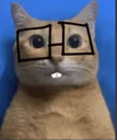 nerdcat emote