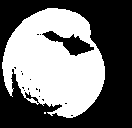 tenisAware static emote