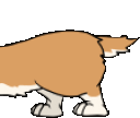 corgitail animated emote