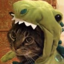 rawr emote