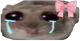 OhCry emote