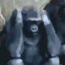 SCHIZO emote