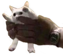 grasp emote