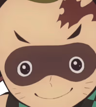Tanjiro_Raccoon emote