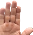 Halt emote