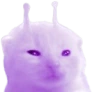 plorp emote
