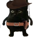 CowboyCat emote