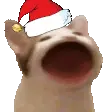 christmas_popcat emoji