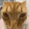 CarDrip emote