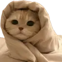 cozyCat emote