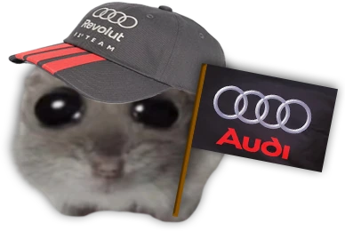 goAUDI emote