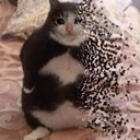 CE_sadchonkyfading emote