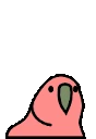 jumpingjrParrot emote
