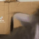 AAAAAAAA emote