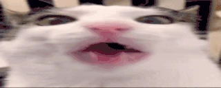 Munchin emote