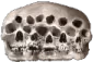 skull_family emote