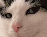 sussyPlink emoji