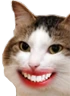 kiisu_creepysmile emote