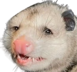 StrugglePossum emote