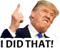 trump_i_did_that emote