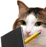 kiisu_noted emote