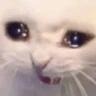 CE_Sob2 emote