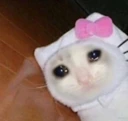 CE_sadcat8 emote