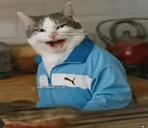 quericoo emote