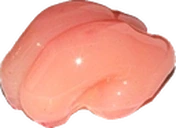 smoothBrain emote