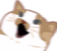 catsurprised emote