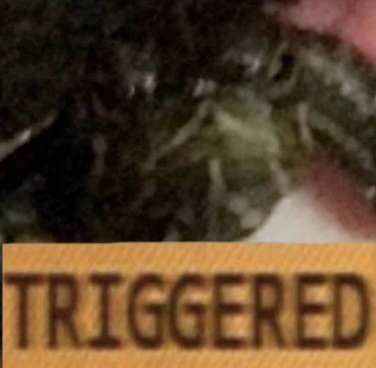 TriggerdTurtle emote