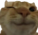 wink emote