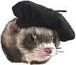 FerretInABarrette emote